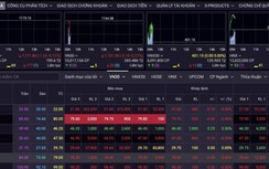 Thị trường chứng khoán tăng điểm, nhiều nhà đầu tư vẫn lỗ do đâu?