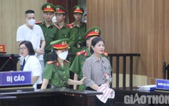 Vì sao hoãn xét xử vụ cựu giám đốc sở ở Thanh Hóa gây thiệt hại 20 tỷ đồng?