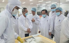 Đầu tư hạ tầng phát triển bền vững ngành tôm Bạc Liêu