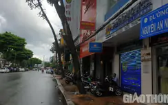 Miễn phí các thủ tục liên quan khi Cần Thơ đổi, đặt tên đường