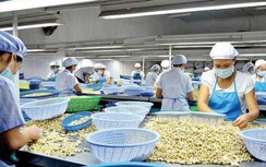 Lừa đảo xuất khẩu sang Trung Đông gia tăng, Bộ Công thương vào cuộc