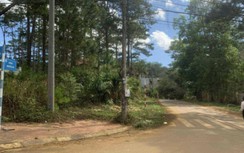 Kon Tum: Huyện giao hàng loạt lô đất biệt thự ở Măng Đen trái pháp luật