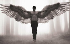 Chúng ta có thể sẽ được bổ sung tay, xúc tu hoặc cánh