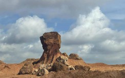 Tăng tốc bàn giao mặt bằng tuyến đường kết nối sân bay Long Thành