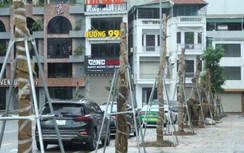 Loạt cây xanh lại có dấu hiệu chết khô trên đường Huỳnh Thúc Kháng kéo dài