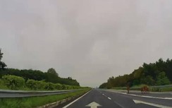 Đàn bò "đi dạo" trên cao tốc Long Thành - Dầu Giây