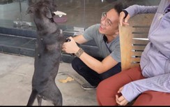 Độc lạ Bình Dương: Chú cún ham tiền được cây xăng tuyển làm thu ngân