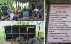 Vây bắt sới đá gà ăn tiền giữa cánh đồng, 75 đối tượng sa lưới