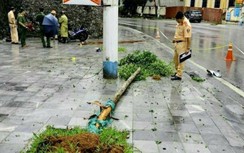 Đâm đổ cây ven đường, nam thanh niên tử vong tại chỗ