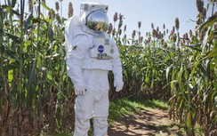 Vì sao các nhà sản xuất rượu nho Mỹ phải cầu viện 1 công nghệ đến từ NASA?