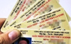Vì sao nhiều bằng lái xe chưa thể tích hợp vào ứng dụng VNeID?