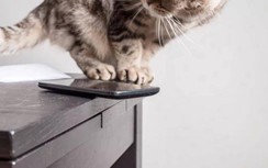 Mẹo nhỏ với smartphone Android cũ có thể giúp bạn yên tâm khi đi du lịch