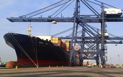 Doanh nghiệp cảng “kẻ cười, người khóc”