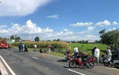 Điều tra vụ xe container chở cây kiểng gây tai nạn chết người