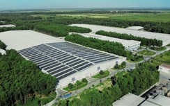 Môi trường bền vững - yếu tố sống còn đối với ngành F&B?