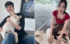 Động thái của hoa hậu Tiểu Vy giữa tin đồn hẹn hò tài tử Thái Lan