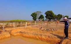 Quang Linh Vlog về Việt Nam 3 tháng, trang trại tại châu Phi giờ ra sao?