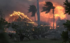 Cháy rừng ở Hawaii: Bố mẹ hai ngày sau trở về nhà, con trai đã không còn