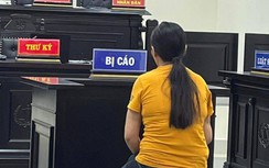 Người phụ nữ đánh chết con trai ở Hà Nội lĩnh án 13 năm tù