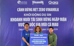 Vinamilk triển khai dự án tái sinh 25 hecta rừng ngập mặn tại Cà Mau