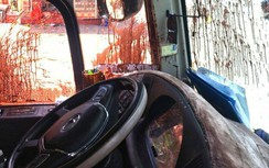 UBND TP Đà Lạt chỉ đạo điều tra vụ xe khách bị ném mắm tôm