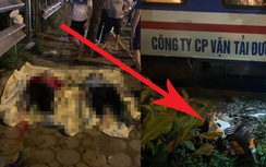 Va chạm với tàu hoả, hai người phụ nữ đi xe máy thương vong