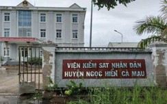 Hé lộ kết quả xác minh vụ tố cáo vòi tiền chạy tại ngoại ở Cà Mau