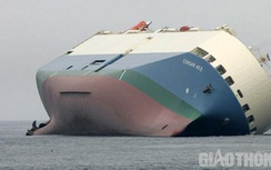 Video: Vụ va chạm chấn động của tàu Baltic Ace, 1.400 ô tô chìm xuống biển