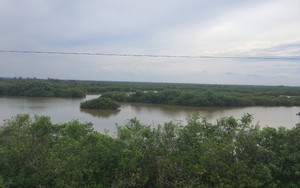 Thái Bình: Siêu dự án sân golf Cồn Vành sau 3 tháng chưa tìm được nhà đầu tư