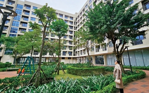 Giấc mơ nhà ở xã hội không xa vời