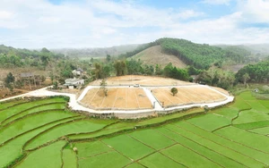 Pháp lý - yếu tố quyết định thành bại trong giao dịch bất động sản