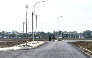 Ninh Bình: Đầu tư 48 tỷ đồng xây khu tái định cư phục vụ đường tỉnh 477 và cầu Hoàng Long