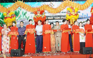 Cửu Long Eco: Hành trình kiên trì 14 năm phát triển vật liệu xây dựng xanh
