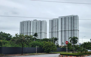 Ninh Bình: Giải ngân 494 tỷ đồng vốn đầu tư công, đẩy mạnh phát triển nhà ở xã hội