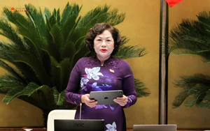 Phó Chủ tịch Quốc hội Nguyễn Thị Hồng: Làm rõ các kịch bản đảm bảo tăng trưởng