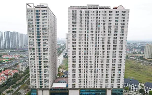 Thị trường có nhiều căn hộ nhưng thiếu sản phẩm hợp với nhu cầu số đông