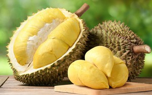 Hiện thực hóa mục tiêu xuất khẩu 4,5 tỷ USD sầu riêng