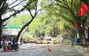 Khắc phục nhanh thiệt hại do mưa dông, gió giật tại khu di tích lịch sử Đền Hùng