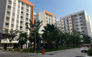 Cần Thơ gỡ nút thắt nhà ở xã hội từ Nghị quyết 201