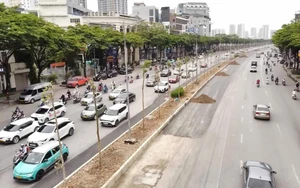 Hà Nội: Hàng cây mới trồng trên đường Võ Chí Công sẽ được xử lý thế nào?