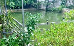 Nghệ An: Hai anh em ruột tử vong thương tâm dưới ao nước gần nhà