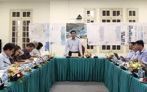 Deputy Minister Nguyen Tuong Van calls for clearer vision for Nhon Hoi Economic Zone
