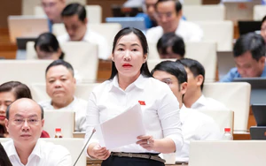 ĐBQH: Siết chỉ tiêu tư pháp nhưng không để phát sinh áp lực oan sai