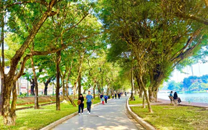 Cần một chuẩn chung để công viên, cây xanh thực sự là không gian dành cho người dân