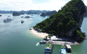 Quảng Ninh quy hoạch gần 140.000ha mặt biển phát triển nuôi trồng thủy sản