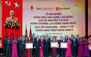 Chủ tịch Tập đoàn BRG Nguyễn Thị Nga nhận danh hiệu Anh hùng Lao động thời kỳ đổi mới