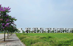 Ninh Bình: 90 căn nhà tại 2 dự án hơn 818 tỷ đồng đủ điều kiện kinh doanh