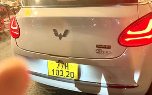 Gia Lai: Thu cước cao, một hợp tác xã vận tải bị phạt tiền và tước phù hiệu 2 tháng