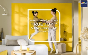 Màu của Năm 2025: “Vàng khởi sắc” - Bước ra khỏi vùng an toàn để bứt phá