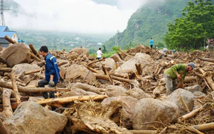 Sau lũ quét, người Mường Than gom từng khúc cây rừng ngổn ngang gây dựng lại cuộc sống
